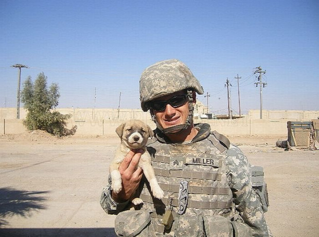 Isten állatkertje kutya katona