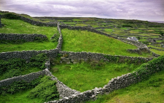 A világ érdekes Írország mészkő Szürke fal