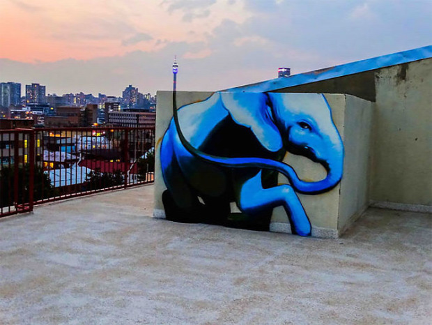 Falco Dél-Afrika utcai művész graffiti vadvilág