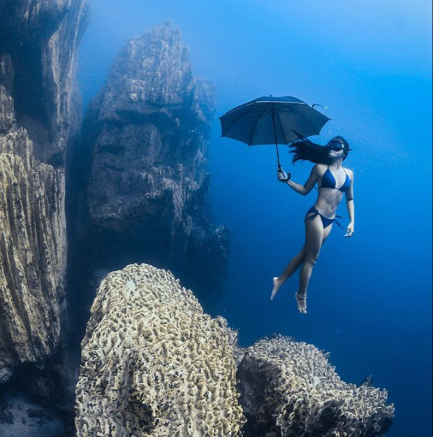 A világ érdekes fotó verseny víz alatti