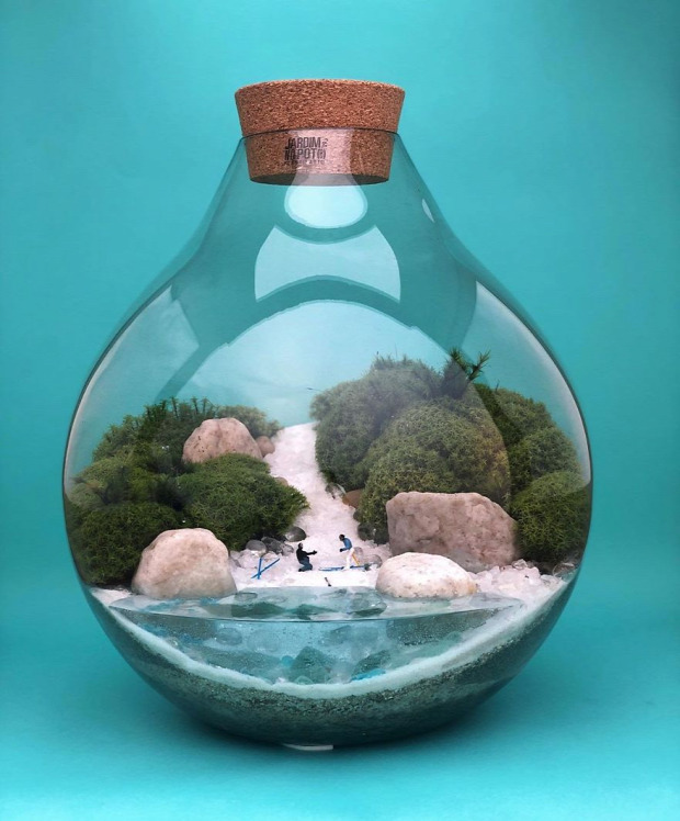 üveg palack világ ökoszisztéma