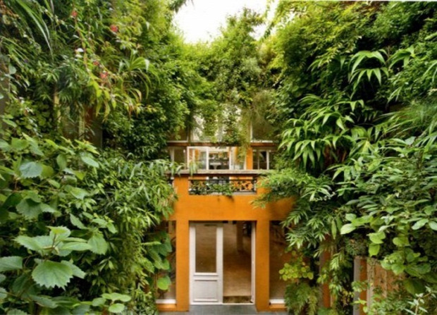 A világ érdekes Párizs botanikus ház lakás növény dzsungel
