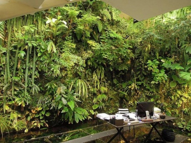 A világ érdekes Párizs botanikus ház lakás növény dzsungel