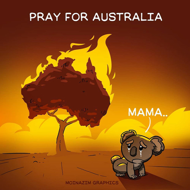 ausztrália  tűz bozóttűz művész