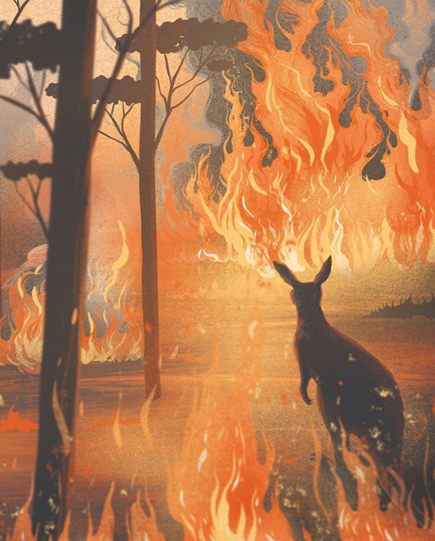 ausztrália  tűz bozóttűz művész