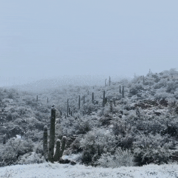 A világ érdekes Arizona Új-Mexikó sivatag hó