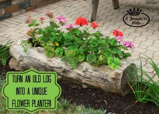 40+ Creative DIY Garden Containers and Planters from Recycled Materials 7_1