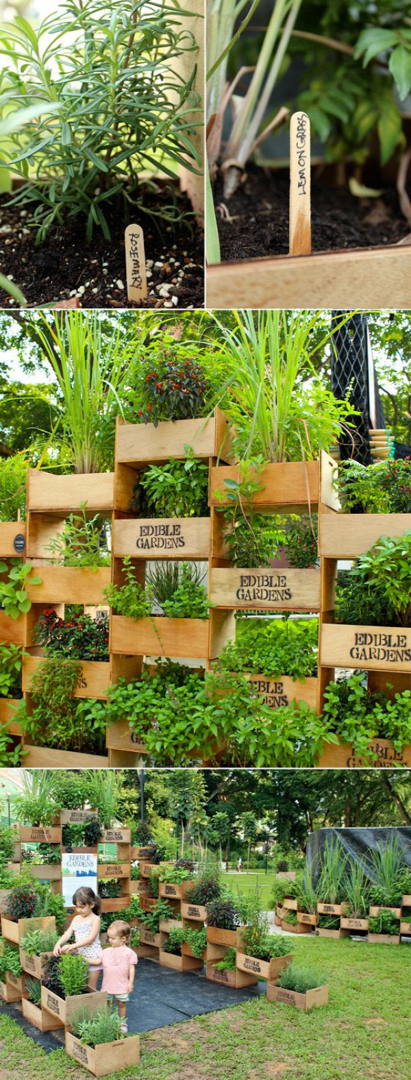 Who says you don't have any room for an herb garden. could make a gorgeous living wall/divider for privacy