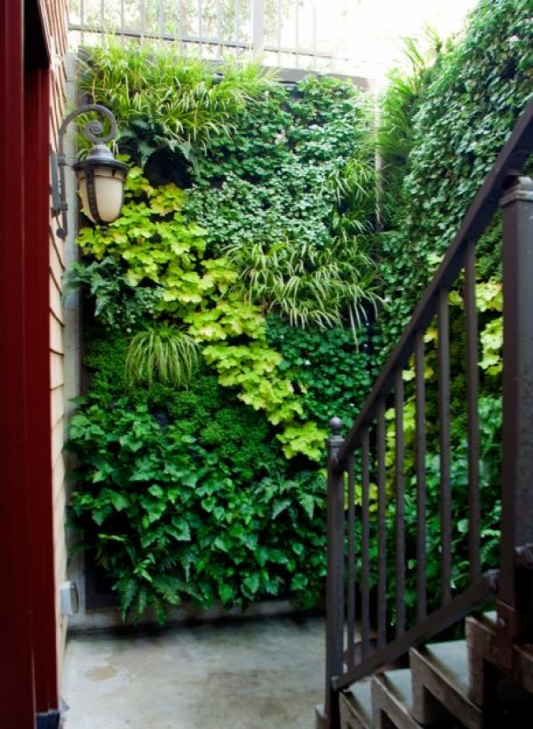 Green walls are the perfect solution for covering an unsightly wall...