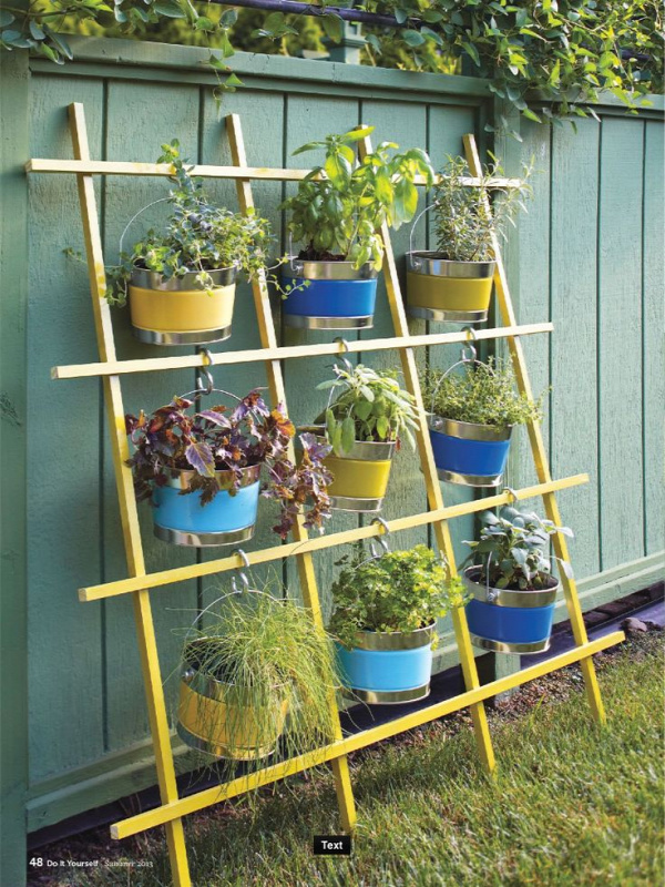 What a great idea for a verticle herb garden using a trellis, buckets and S hooks.
