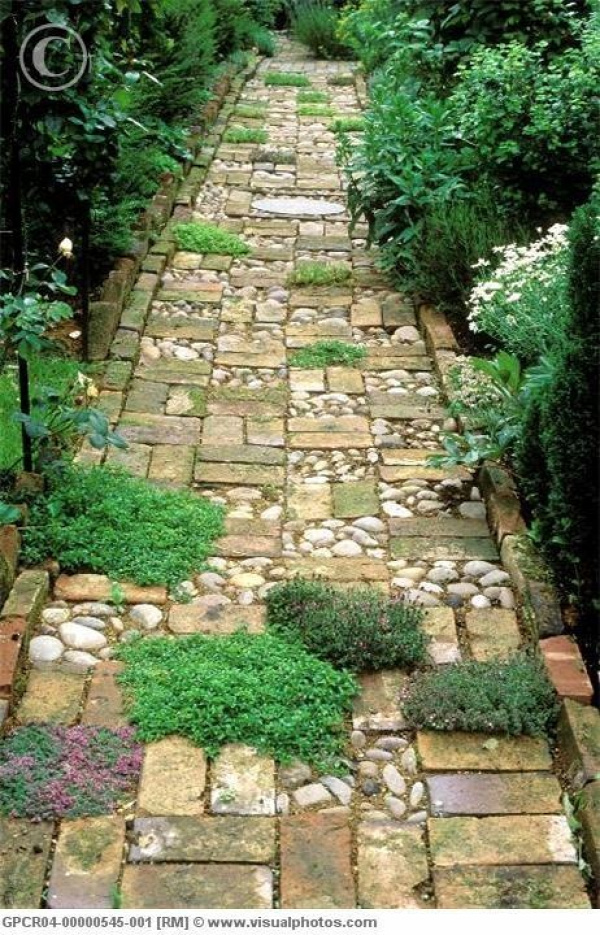 Wonderful mix of material for garden path. Cobblestone sectioned between random pattern of bricks (reclaimed bricks offer a softer mellow tone of age along with irregular edges) and plantings of different types of thyme.  Bordered with bricks as well.