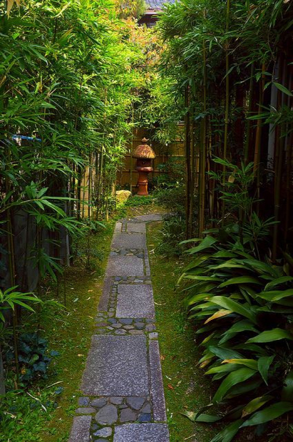 Japanese Garden, Kyoto