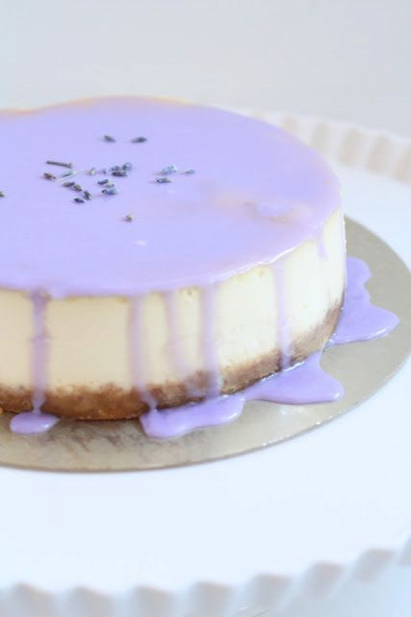 lavender glazed cheesecake