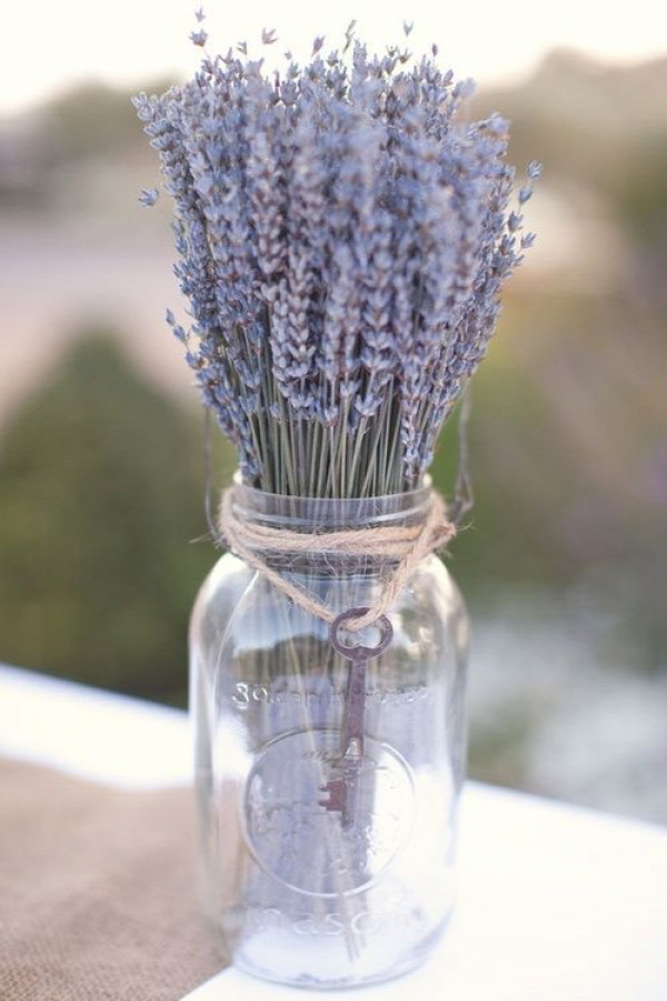 Lavender: I used to have a little bag of lavender potpourri when I was young that I would put under my pillow when I was having trouble sleeping. Maybe I need to get another one of these!