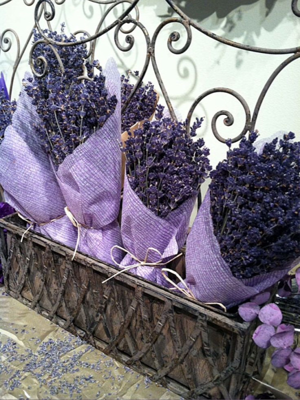 Dried Lavender ~ Ana Rosa