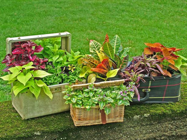 nyár kert kertészkedés újrahasznosítás