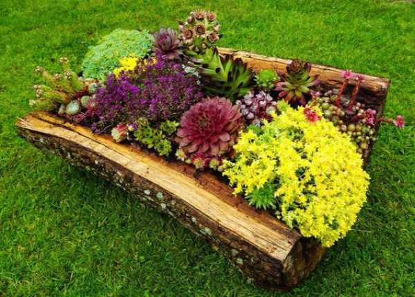 kert nyár újrahasznosítás kertészkedés ültetés farönk