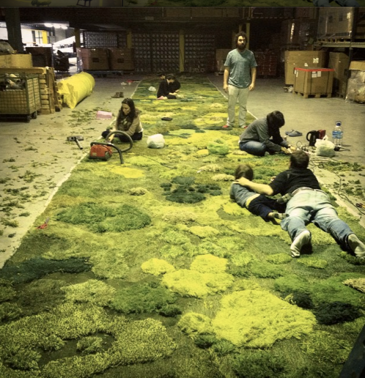 szőnyeg újrahasznosítás argentína