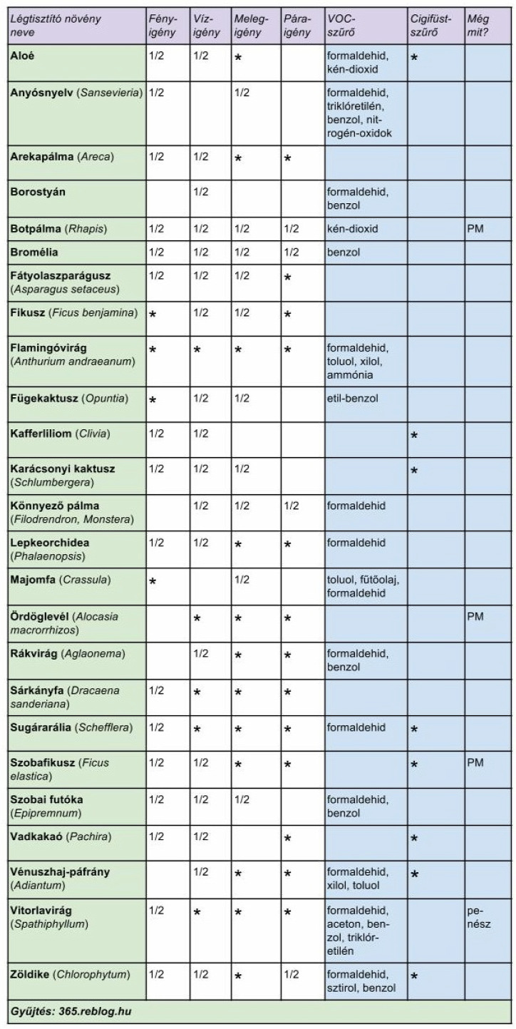 légtisztító növények munkahelyre munkahelyi stresszoldás VOC illékony szerves vegyületek PM szállópor aloé anyósnyelv arekapálma borostyán botpálma bromélia fátyolaszparágusz fikusz flamingóvirág fügekaktusz kafferliliom karácsonyi kaktusz könnyezőpálma lepkeorchidea majomfa ördöglevél rákvirág sárkányfa sugárarália szobafikusz szobai futóka vadkakaó vénuszhaj-páfrány vitorlavirág zöldike teljesítménynövelés