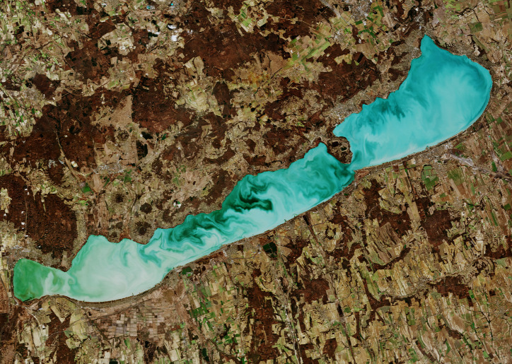 Balaton tél alga természetvédelem globális felmelegedés klímaváltozás