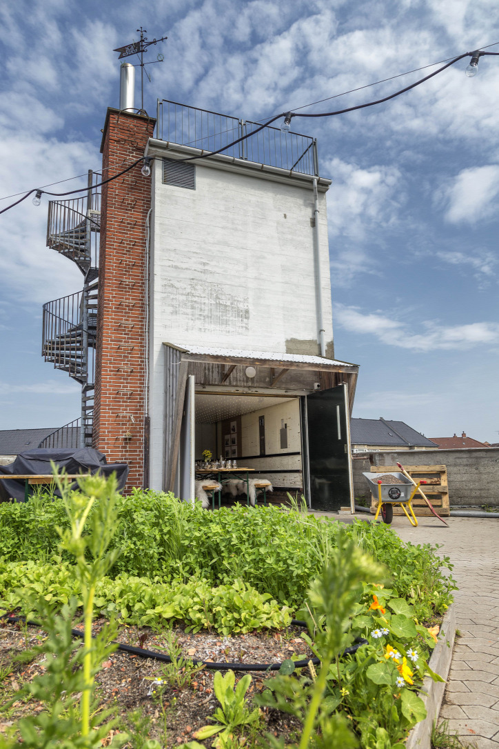 rooftop tetőkert közösség által támogatott mezőgazdaság fenntartható gazdálkodás