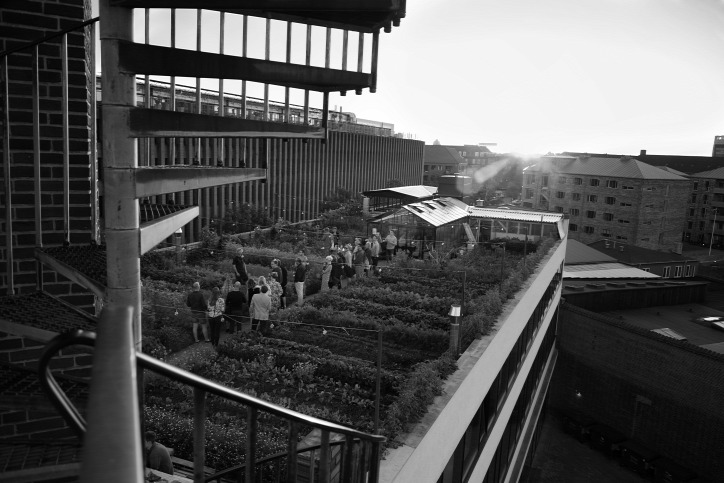 rooftop tetőkert közösség által támogatott mezőgazdaság fenntartható gazdálkodás