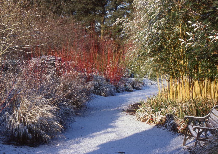 kert otthon tél ősz avar fenntarthatóság természetvédelem sün
