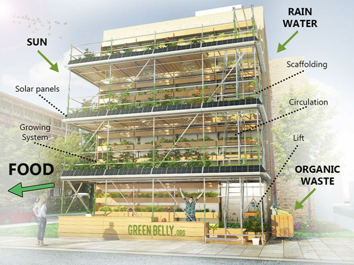 városi kert urbanisztika közösségi kert vertikális kert raklap újrahasznosítás