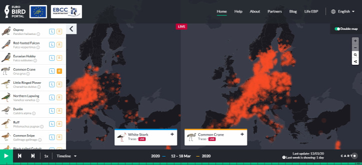 madárvonulás interaktív térkép eBird EuroBirdPortal