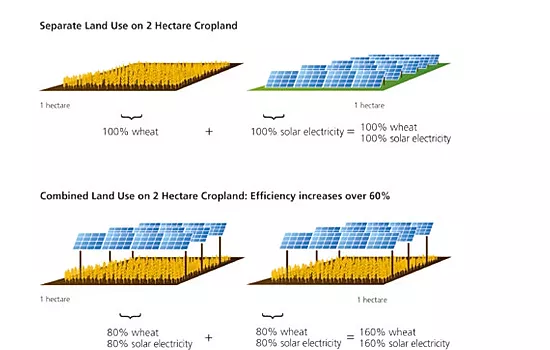 napelem Németország agrovoltaikus rendszer solar sharing megújuló energia napenergia fenntarthatóság