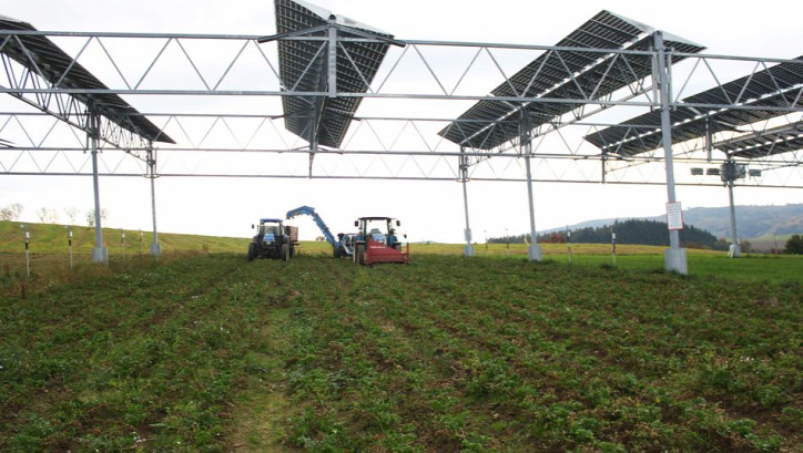 napelem Németország agrovoltaikus rendszer solar sharing megújuló energia napenergia fenntarthatóság