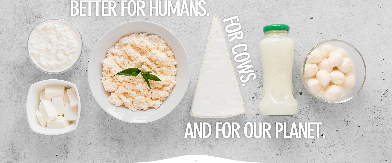 élelmiszer fenntarthatóság flexitariánus növényi tej