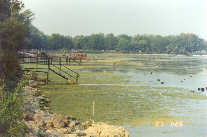 Balaton tél alga természetvédelem globális felmelegedés klímaváltozás