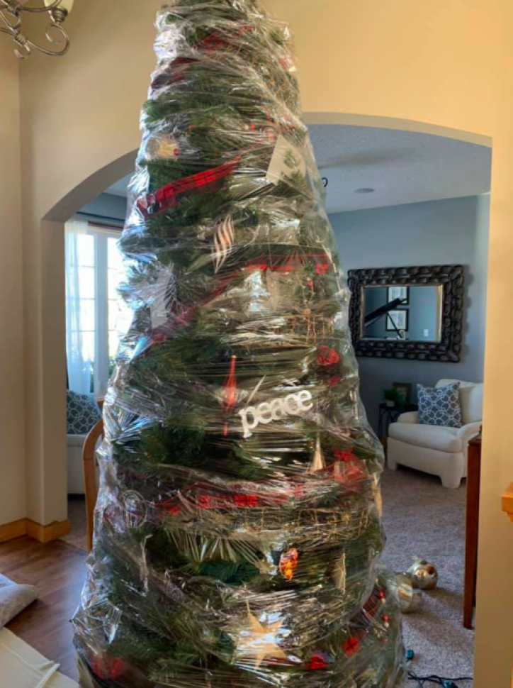 karácsony fenyőfa karácsonyfa újrahasznosítás
