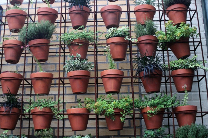 otthon kert erkély újrahasznosítás növény