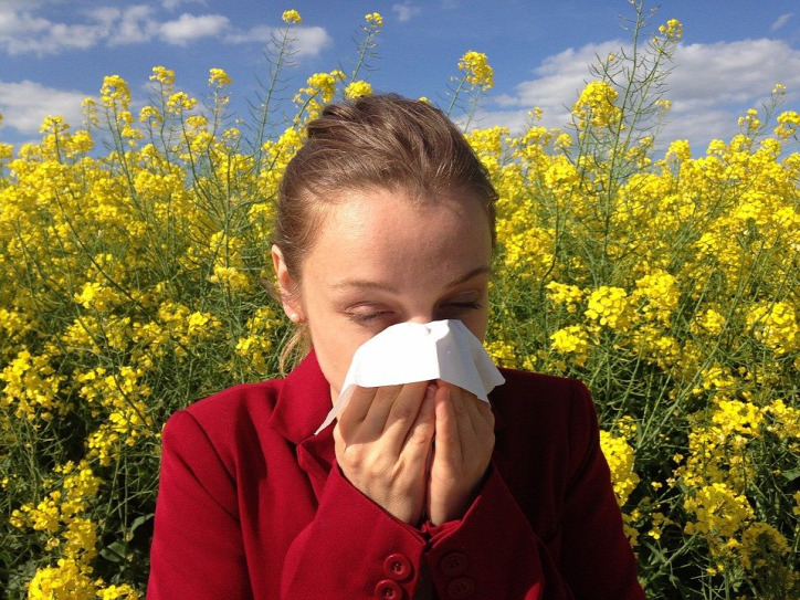 allergia gyógyszer gyógynövény tavasz