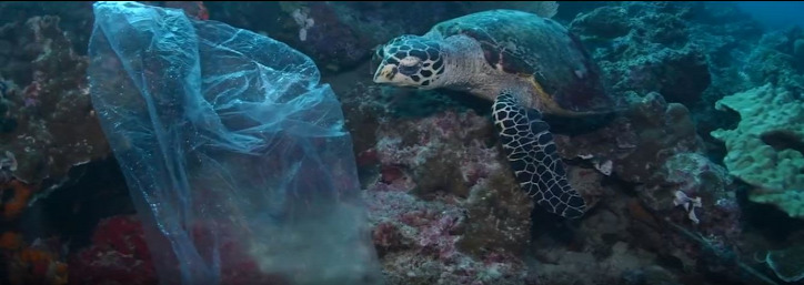 műanyag környezetszennyezés bioműanyag