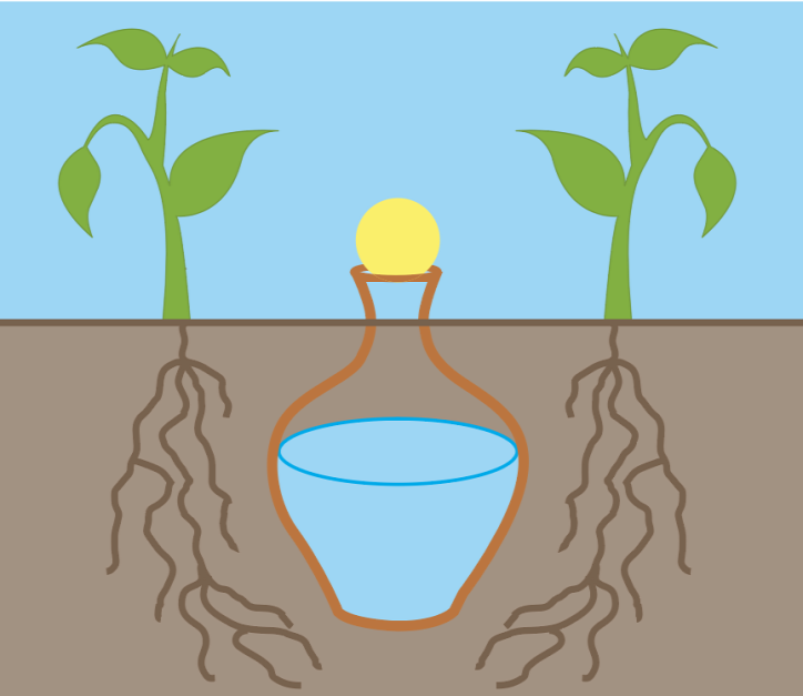 kert öntözés locsolás víztakarékosság növény