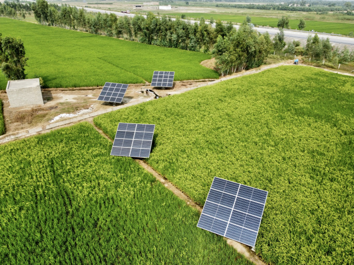 napelem mezőgazdaság zöld energia energiatakarékosság paradicsom