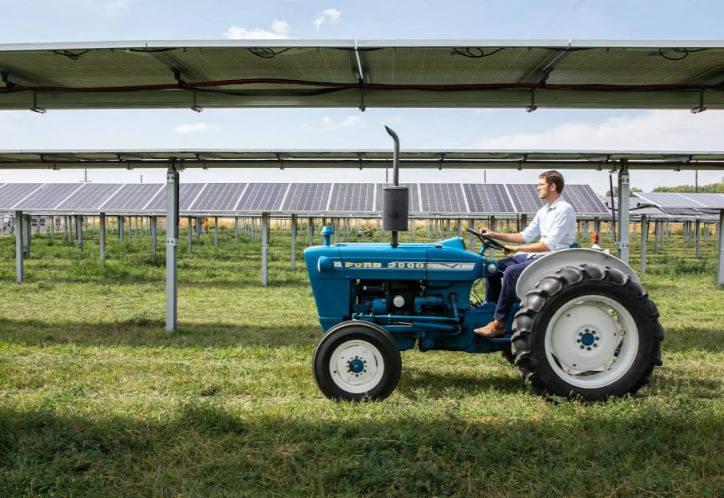 napelem mezőgazdaság zöld energia energiatakarékosság paradicsom