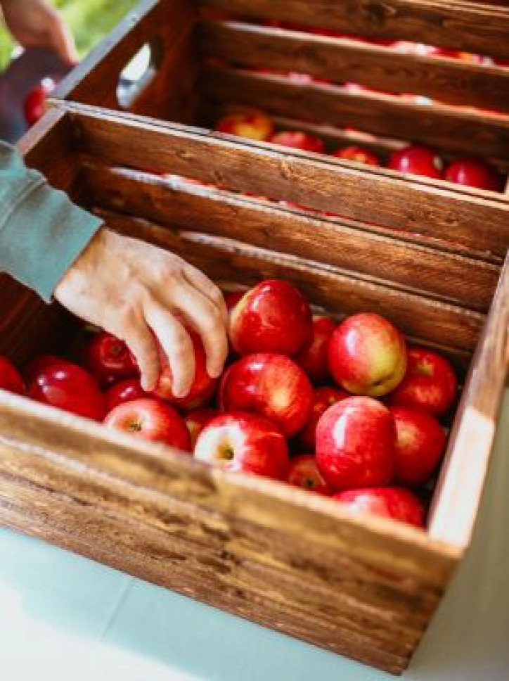 alma ősz gyümölcs tárolás kert élelmiszer