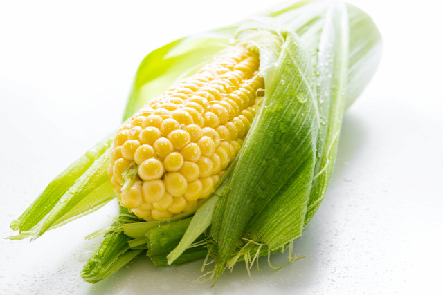 kukorica fenntartható mezőgazdaság cirok köles Ogallala