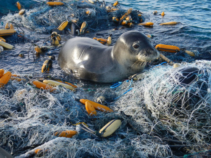 óceáni hulladék újrahasznosítás műanyag