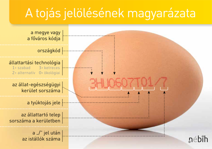 étel tojás gasztronómia csicseriborsó görög joghurt tehéntúró