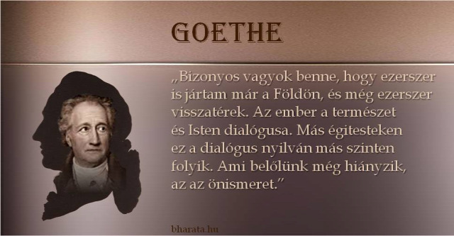 Goethe Idézet Család