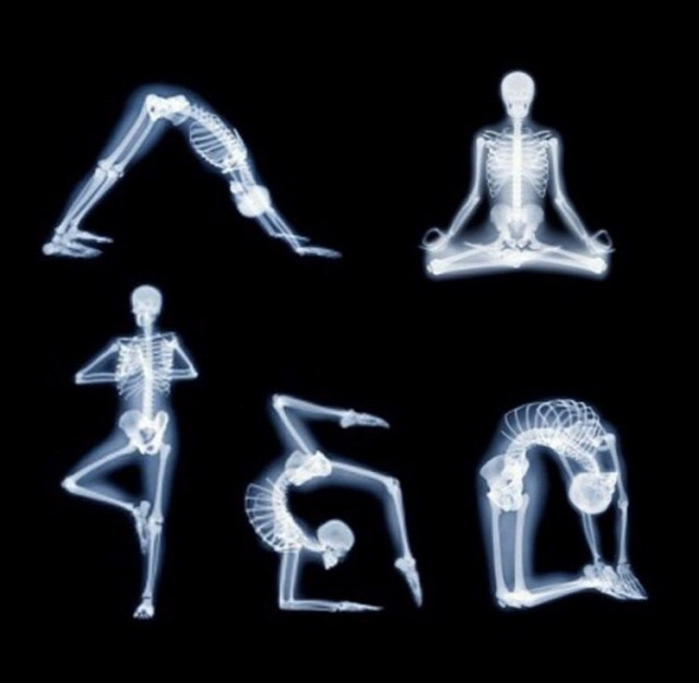 jóga gyakorlatok jóga anatómia jóga oktatás