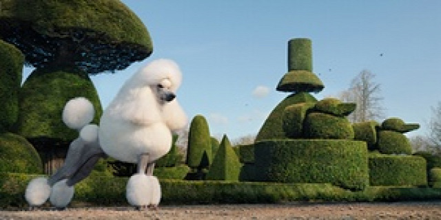 A creatively groomed poodle poses in the topiary gardens of Levens Hall in Kendal, Cumbria