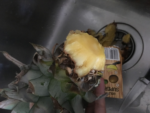 ananász gyökereztetés egzotikusok