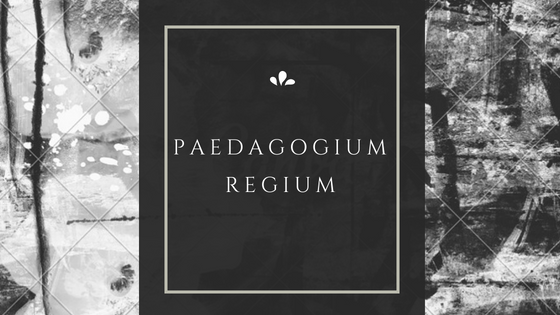 paedagogium regium | csenki nikolett