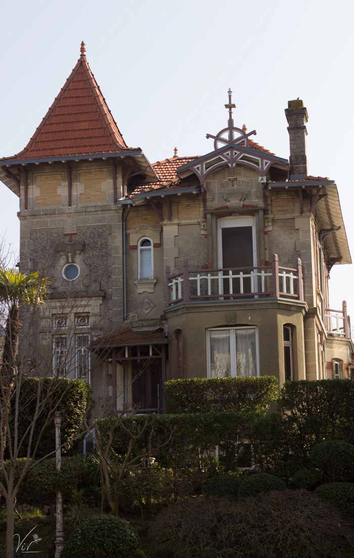 külföld kagyló Arcachon francia konyha hamburger osztriga étterem tengeri